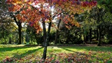 Autumn Driving Banner