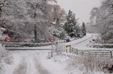 snowy road