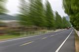 speeding on road with green trees
