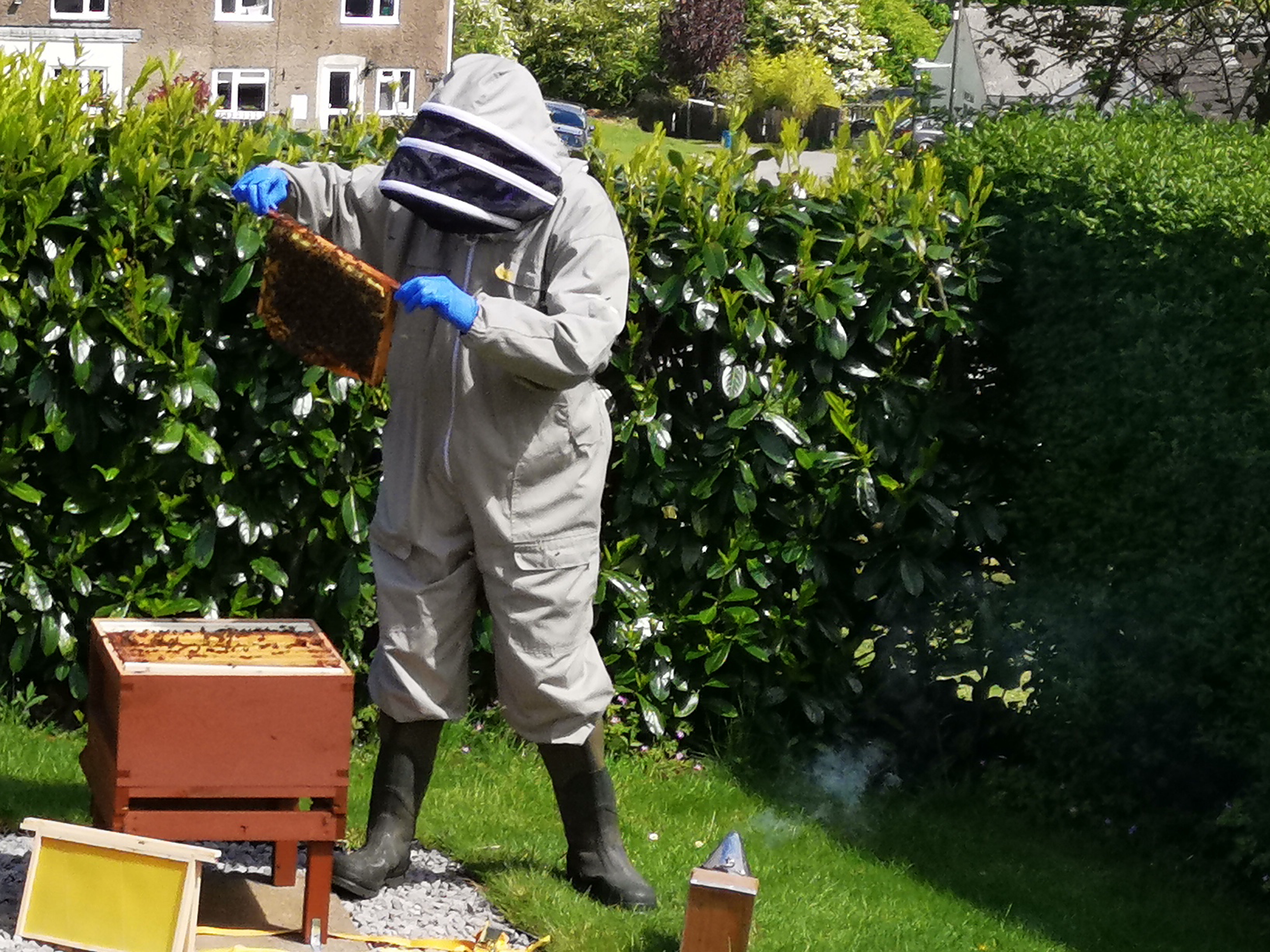 Andrew Cook - Observer and Beekeeper Andrew Cook - Observer and Beekeeper