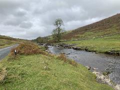 Babbling Brook