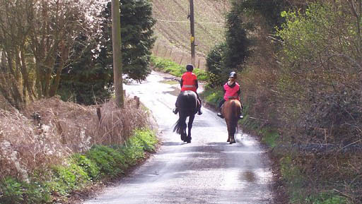 Horseriders on Lane